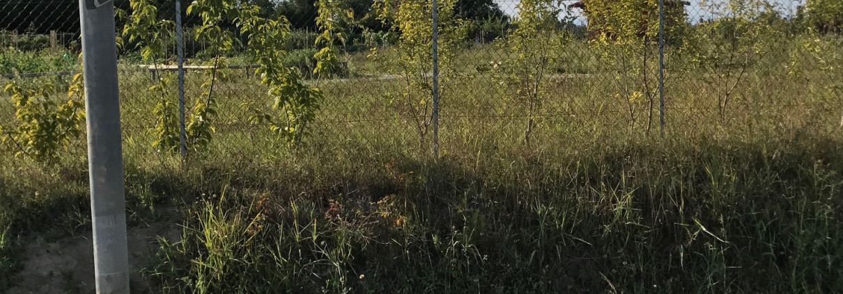 ORTI
