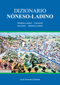 DIZIONARIO noneso Copertina