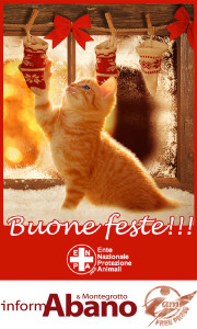 BUONE FESTE