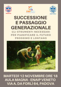 successioni 12 novembre 2